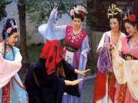 上海婵连网络科技有限公司