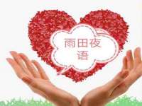 上海婵连网络科技有限公司