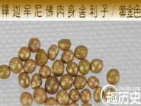 上海婵连网络科技有限公司