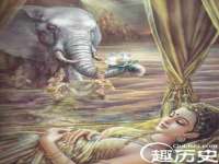上海婵连网络科技有限公司